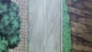 قسمت 142