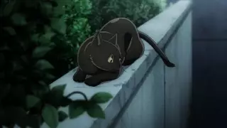 قسمت 9