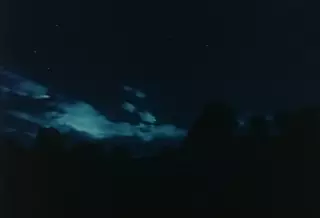 قسمت 24