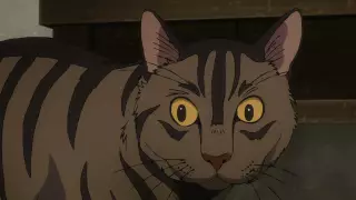 قسمت 8
